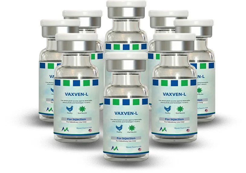 whatsapp image 2026 01 23 at 1.29.48 pm